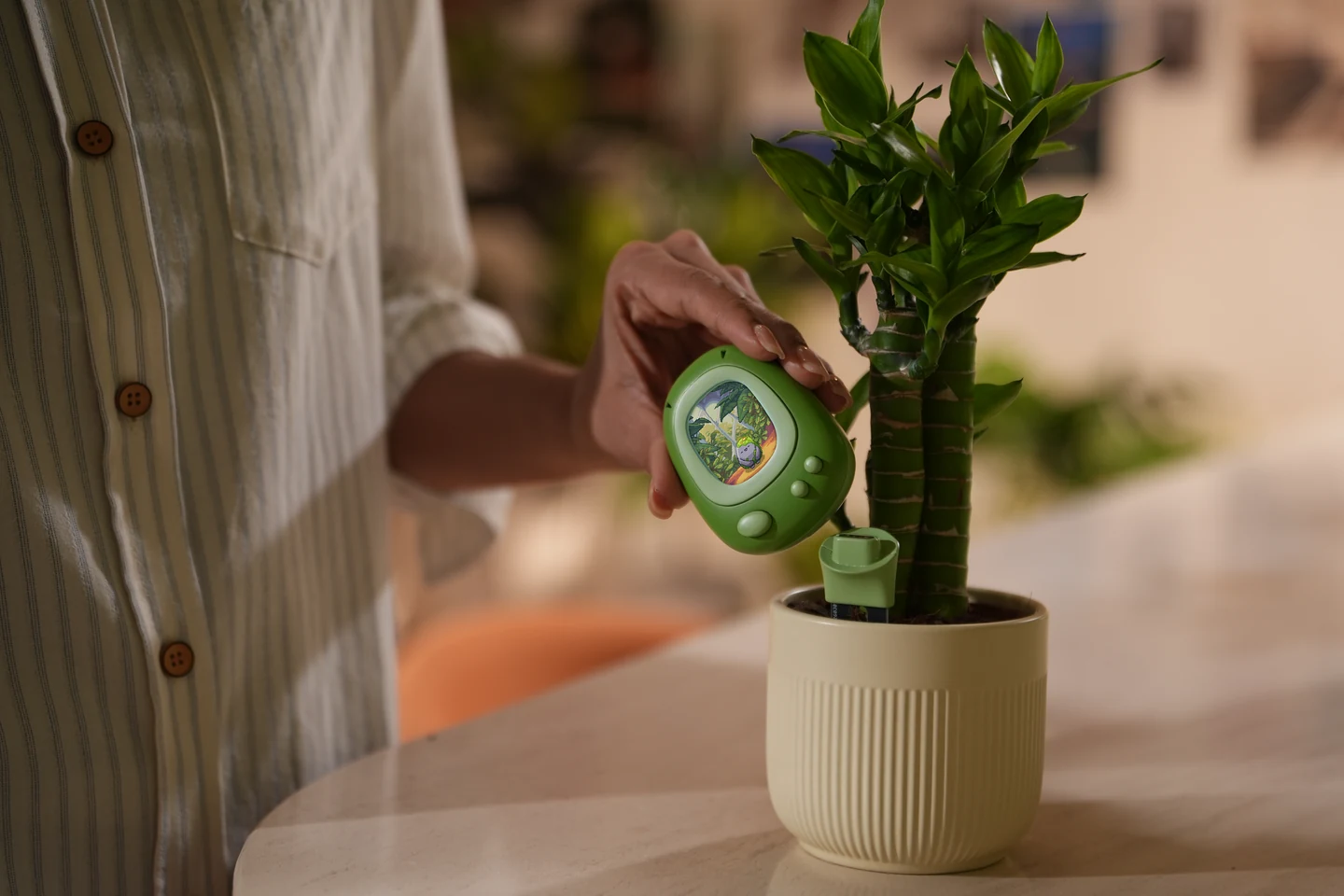 Senso AI 植物电子宠物 · 核心差异