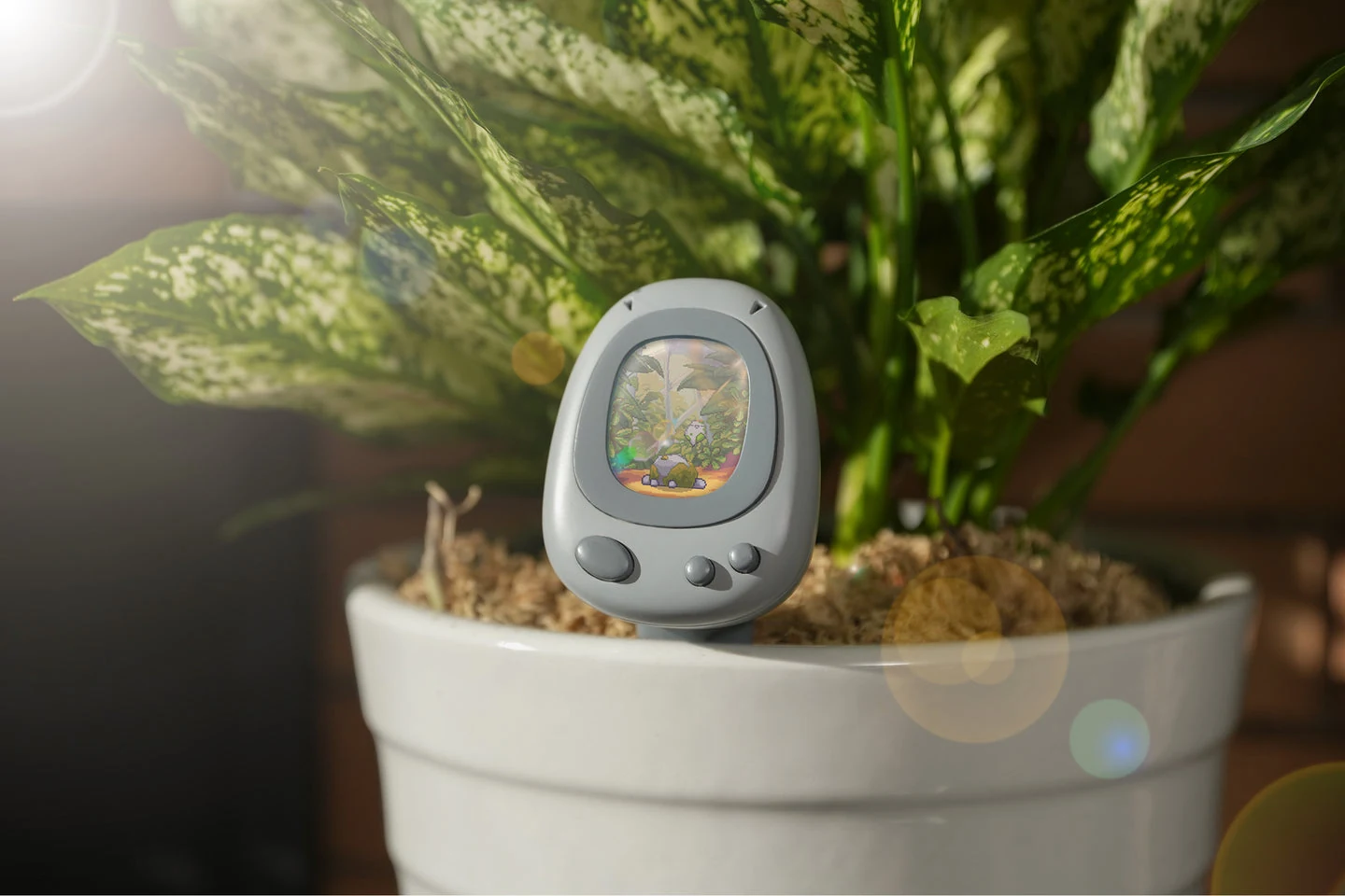Senso AI 植物电子宠物 · 如何交互