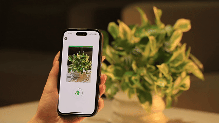 Senso AI 植物电子宠物 · 关键规格