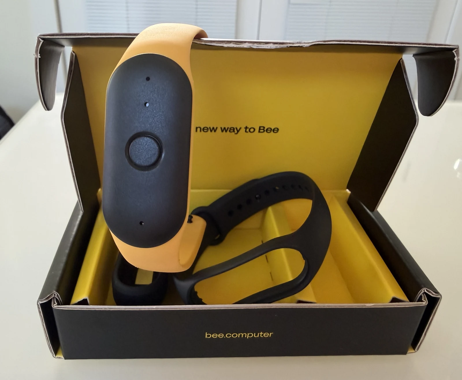 Bee Pioneer 随身 AI 记忆器 · 适合谁