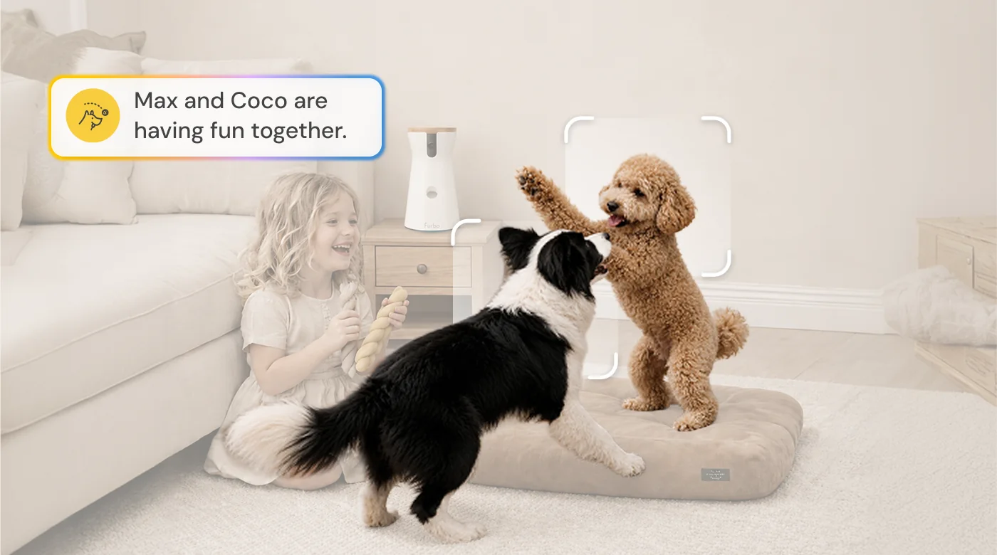 360° Dog Camera · 编辑判断